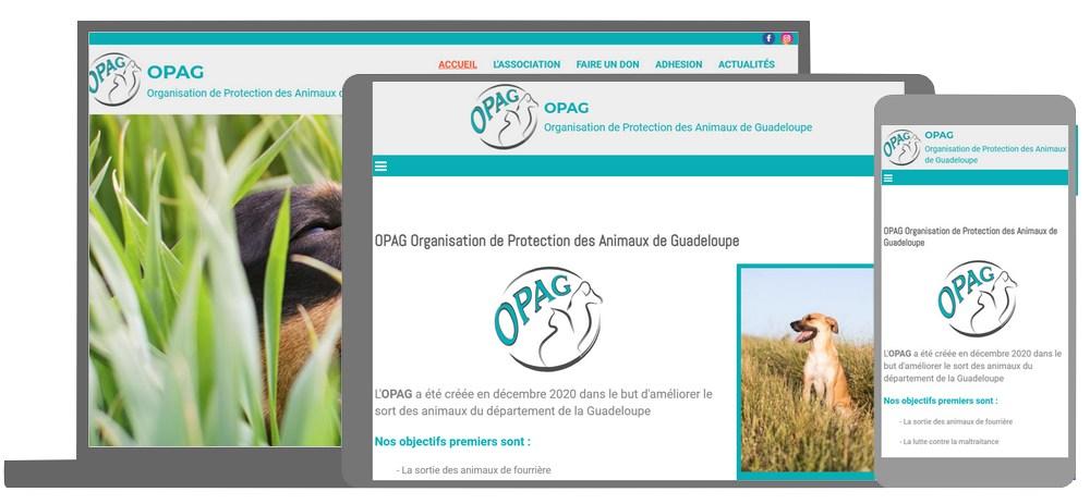 Association OPAG
